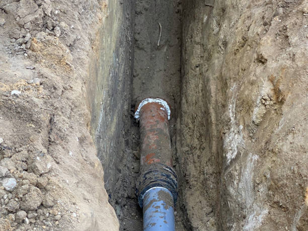 Best Flood restoration services  in Lincoln Park, NY