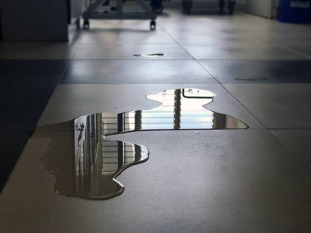 Best Water damage restoration near me  in Lincoln Park, NY