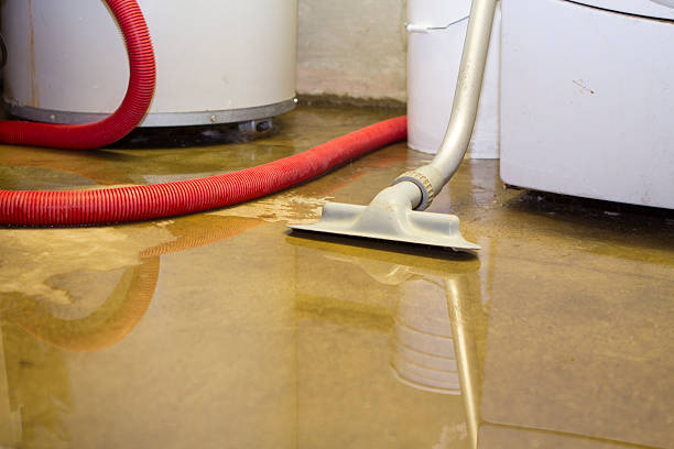 Best Water damage restoration insurance claims  in Lincoln Park, NY