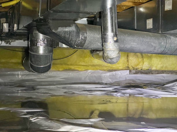  Lincoln Park, NY Water damage restoration Pros