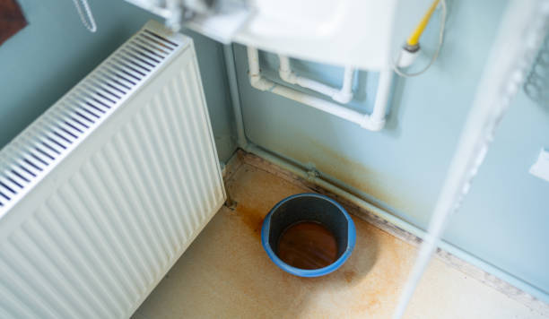 Best Fire Damage Restoration  in Lincoln Park, NY