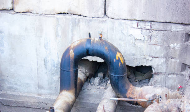 Best Mold removal after water damage  in Lincoln Park, NY