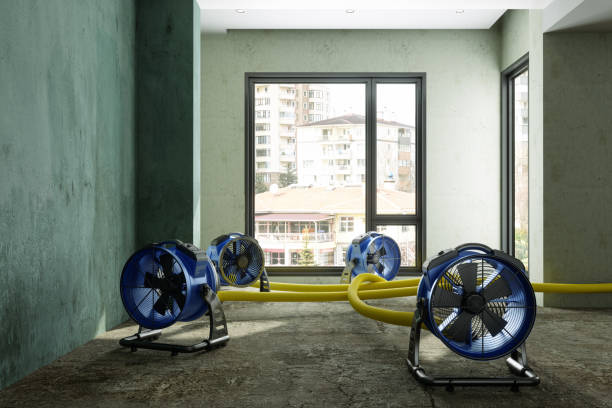 Best 24/7 water damage repair  in Lincoln Park, NY